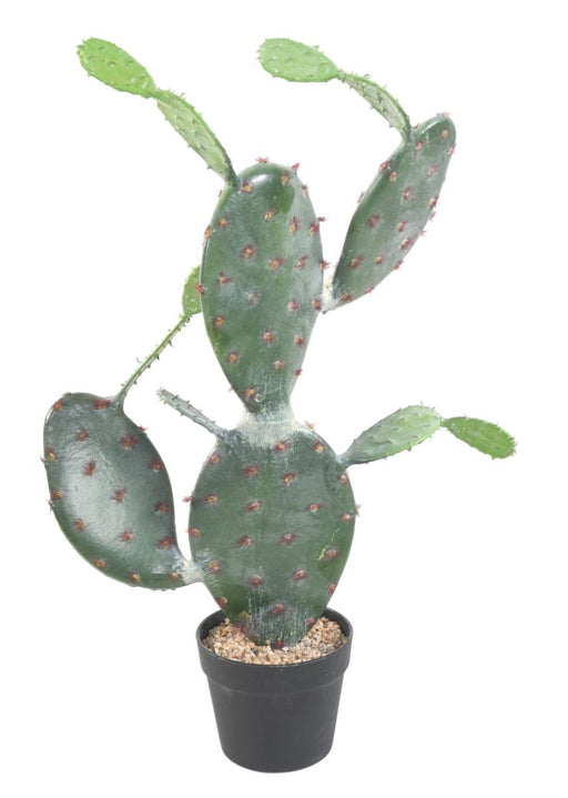 Kunstig Kaktus Opuntia 75 Cm Til Indendørs