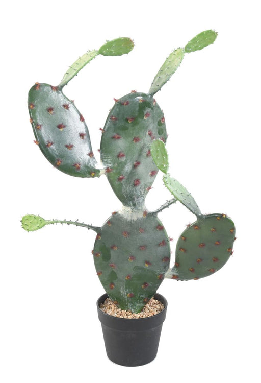 Kunstig Kaktus Opuntia 75 Cm Til Indendørs