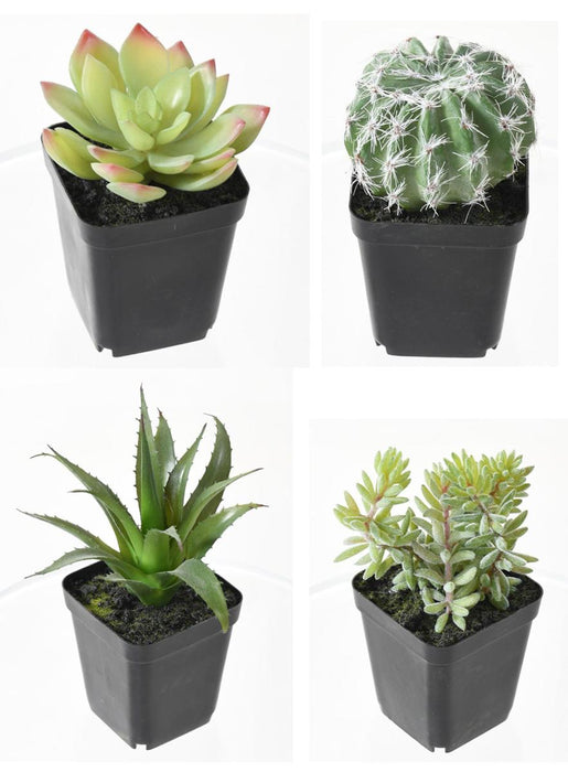 Kunstige Kaktusser I Potte - Sæt Med 4 Planter