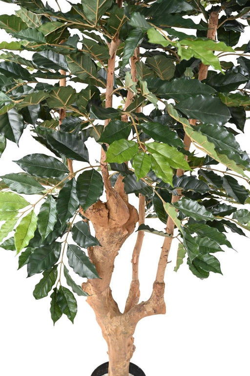 Kunstigt Kaffetræ 180 Cm Grøn Indendørs Plante