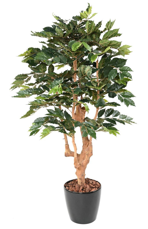 Kunstigt Kaffetræ 180 Cm Grøn Indendørs Plante