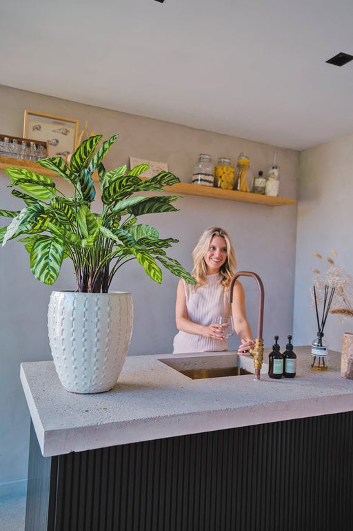 Calathea Makoyana Deluxe - Kunstig Grøn Plante