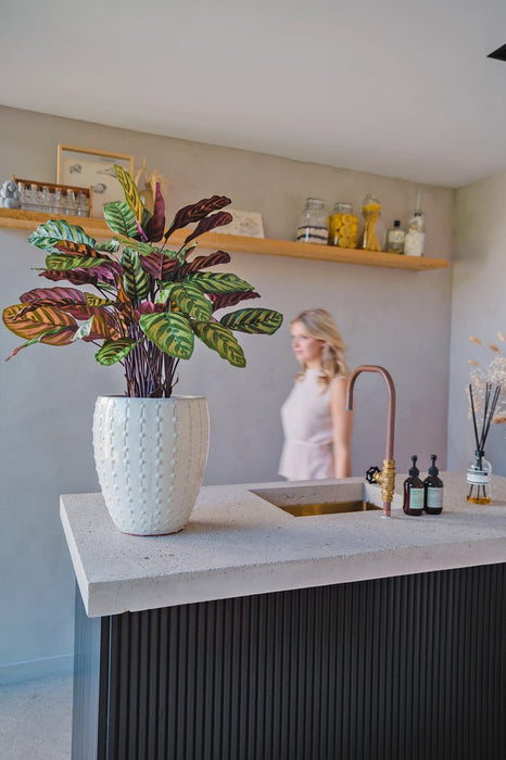 Calathea Makoyana - Kunstig Grøn Plante