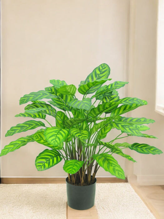 Calathea Makoyana - Kunstig Grøn Plante
