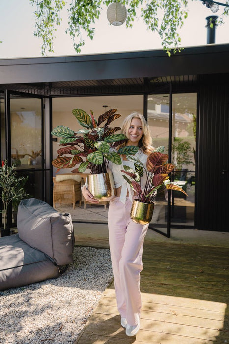 Calathea Makoyana - Kunstig Grøn Plante