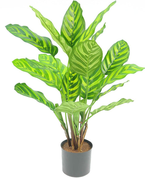 Calathea Makoyana - Kunstig Grøn Plante