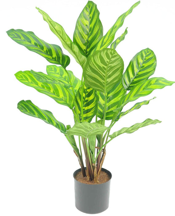 Calathea Makoyana - Kunstig Grøn Plante