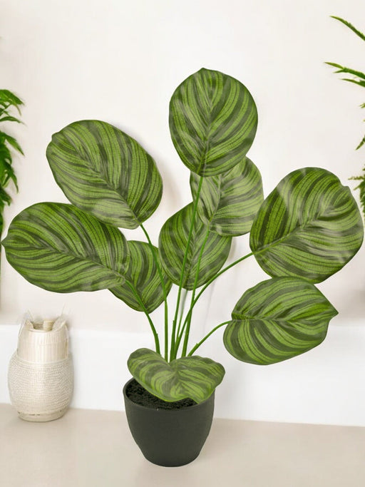 Calathea - Kunstig Grøn Plante