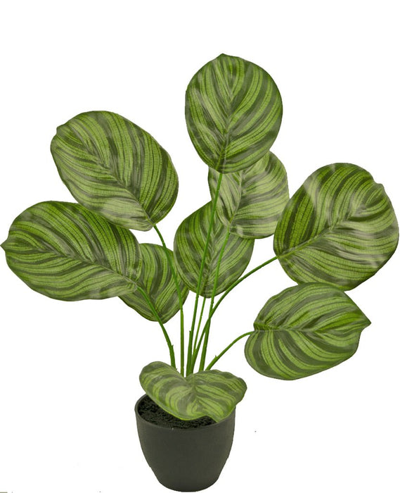 Calathea - Kunstig Grøn Plante