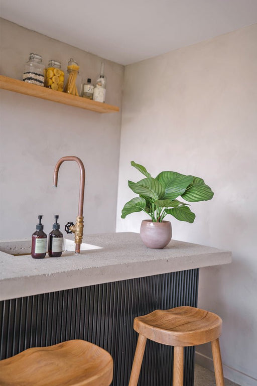 Calathea Orbifolia - Kunstig Grøn Plante