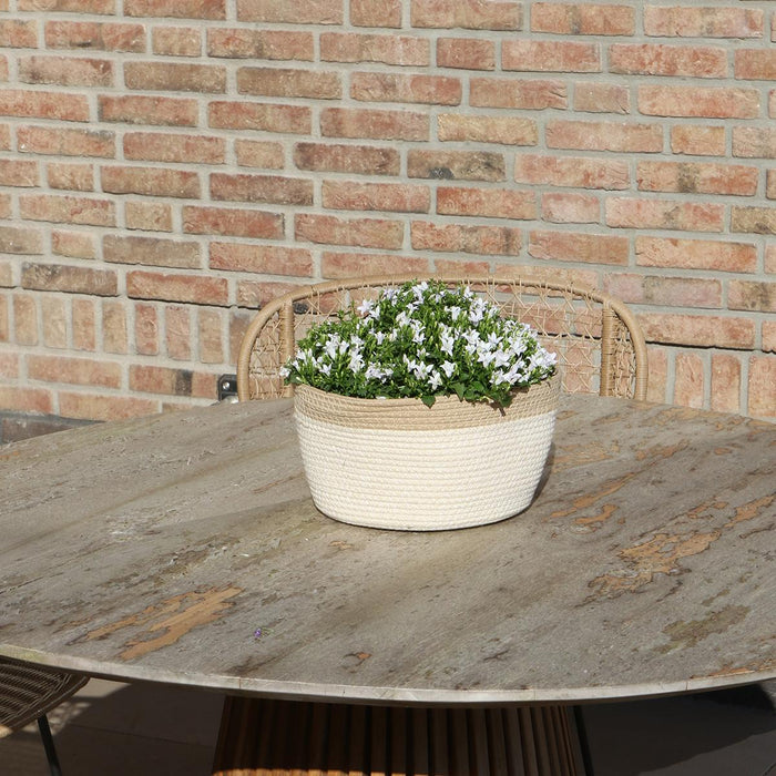 Campanula Addenda Hvid Ambella I Vævet Kurv Med Beholder