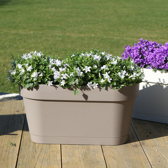 Campanula Addenda White - Balkonbak Taupe - 3 Gryder Inkluderet
