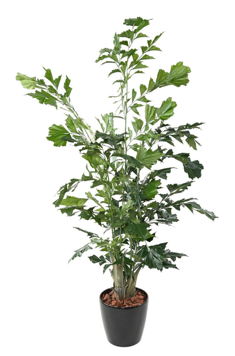 Kunstig Caryota H.190 Cm Til Indretning