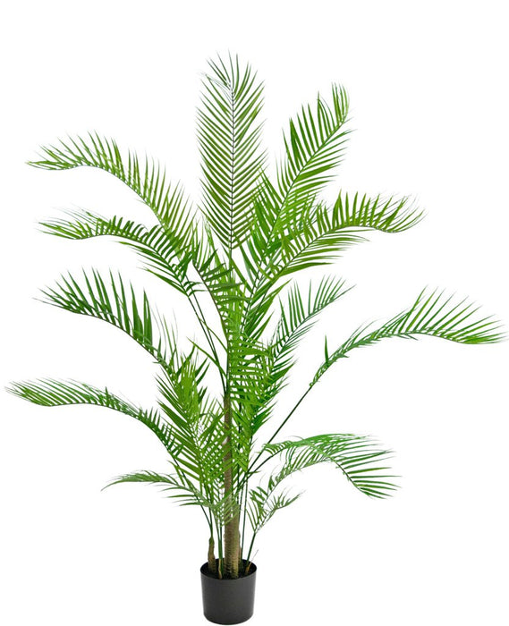Chamaedorea - Kunstigt Palmetræ