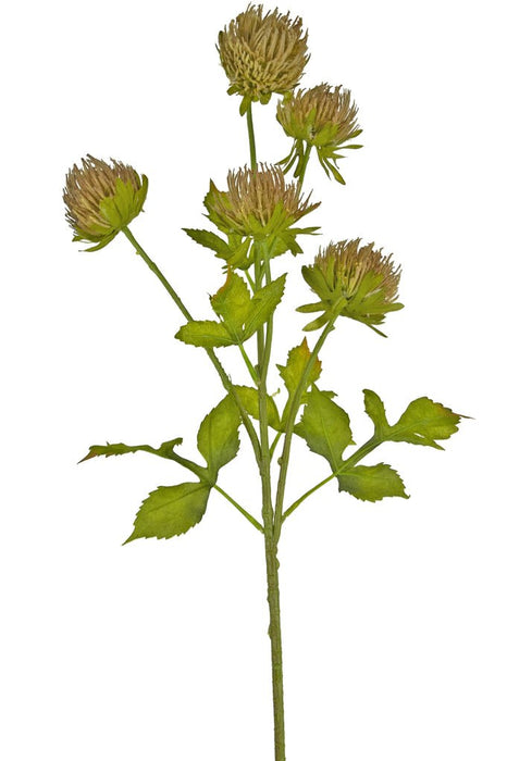 Brun Tidsel - Kunstig Blomstrende Gren