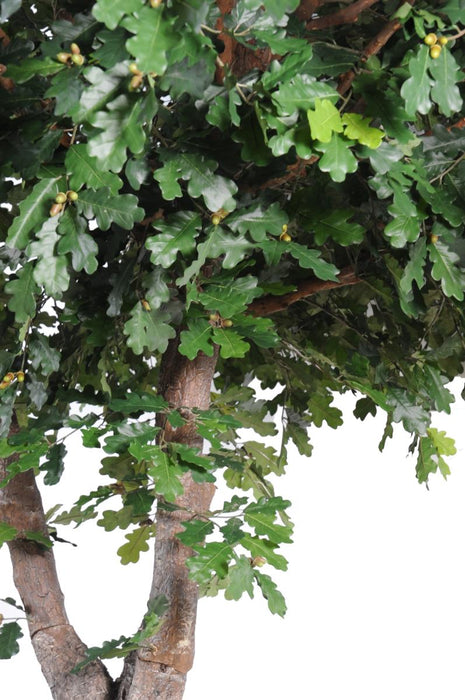 Kunstig Eg 350 Cm Indendørs Plantegrønt Løv