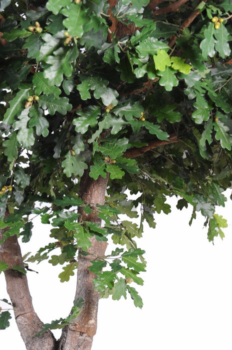 Kunstig Eg Til Indvendig 620 Cm Grønt Løv