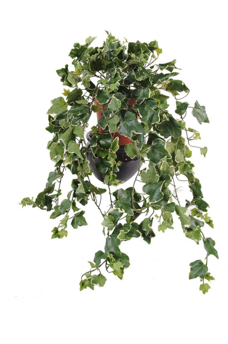 Kunstig Ivy Fall 75Cm Stake Grøn Hvid