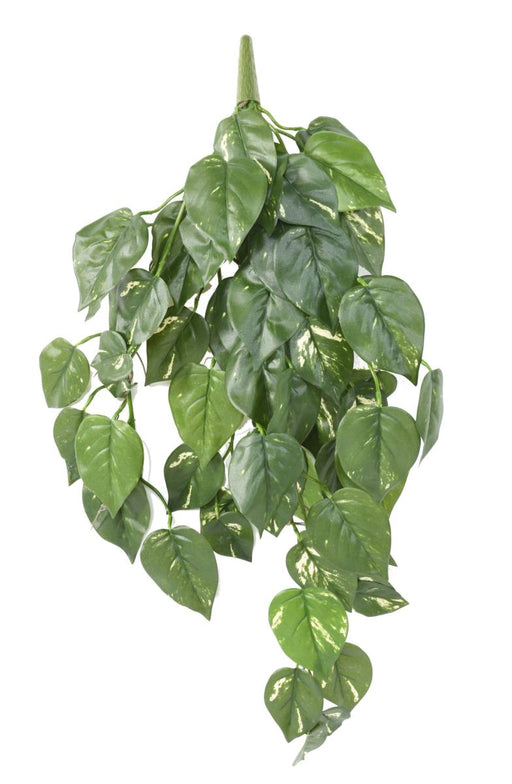 UV-Resistent Kunstig Pothos Fall 75Cm