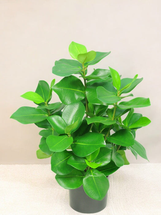 Clusia - Kunstig Grøn Plante