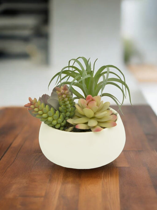 Sammensætning Af Kunstige Sukkulenter