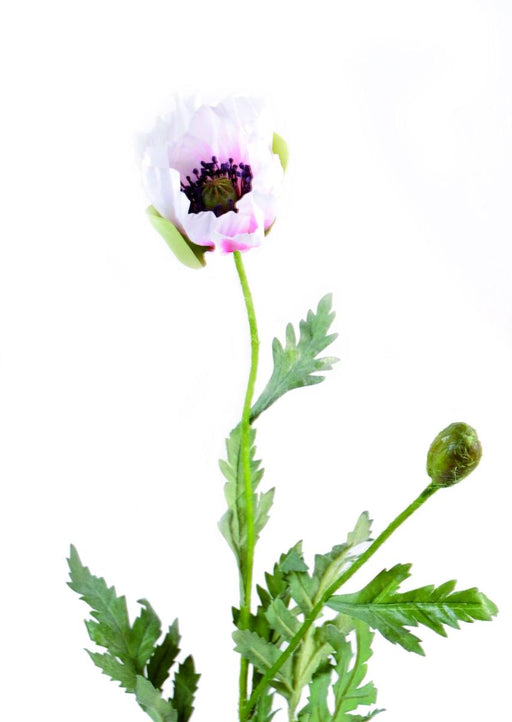 Hvid Kunstig Valmue 66 Cm Landblomst