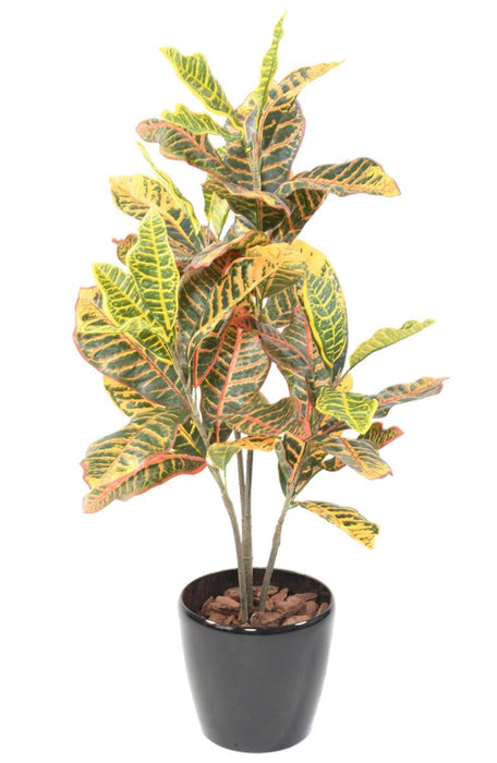 Kunstig Croton H.100Cm Til Indvendig Udsmykning