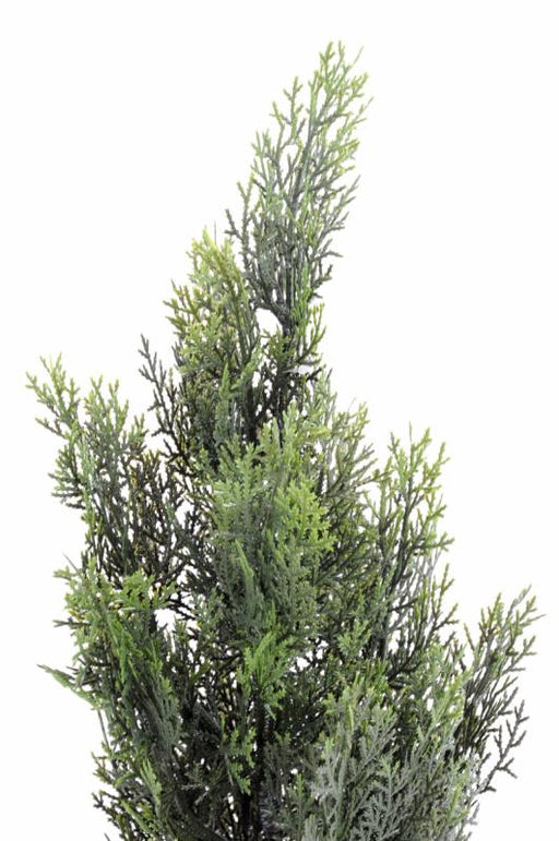 Miniature Kunstig Cypres H.55Cm Til Udendørs