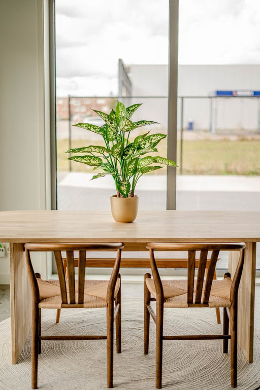 Dieffenbachia - Kunstig Grøn Plante