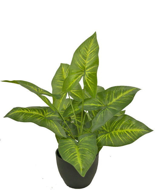 Dieffenbachia - Kunstig Grøn Plante
