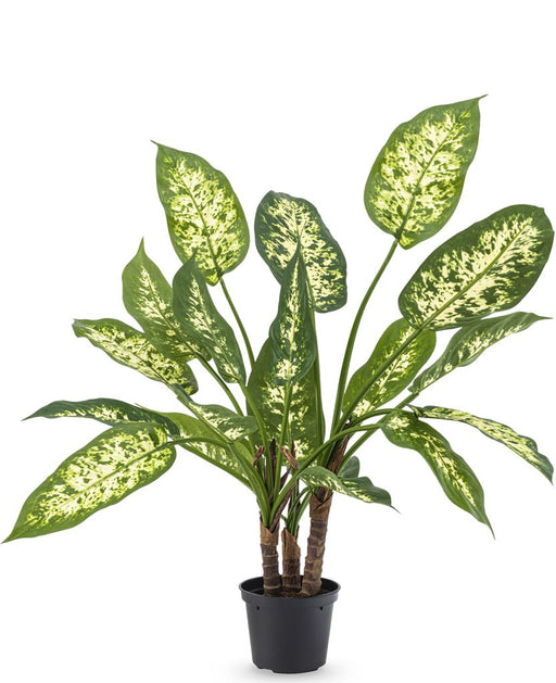 Dieffenbachia - Kunstig Grøn Plante