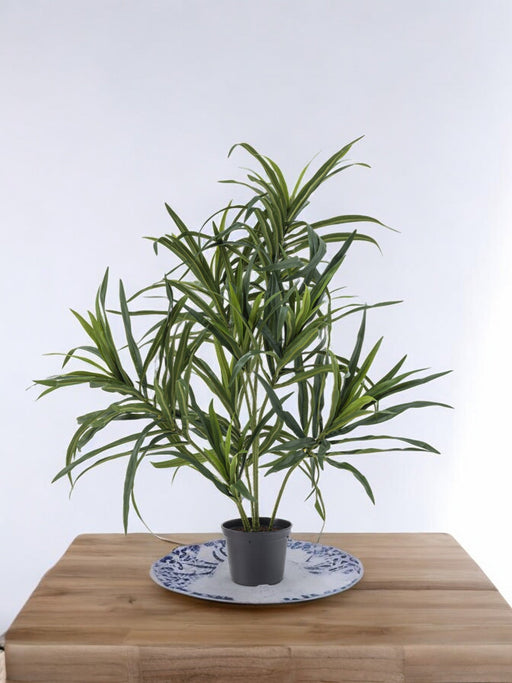 Dracaena Reflexa - Kunstig Grøn Plante