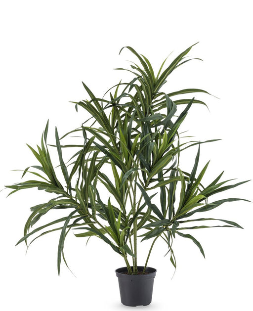 Dracaena Reflexa - Kunstig Grøn Plante