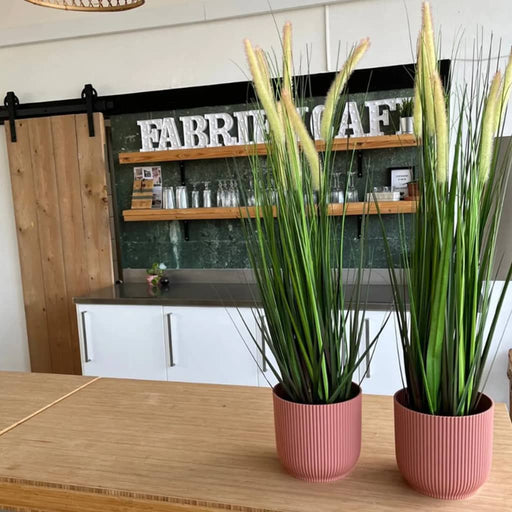 Smaragd Kunstgræs Alopecurus Med Potte 70 Cm