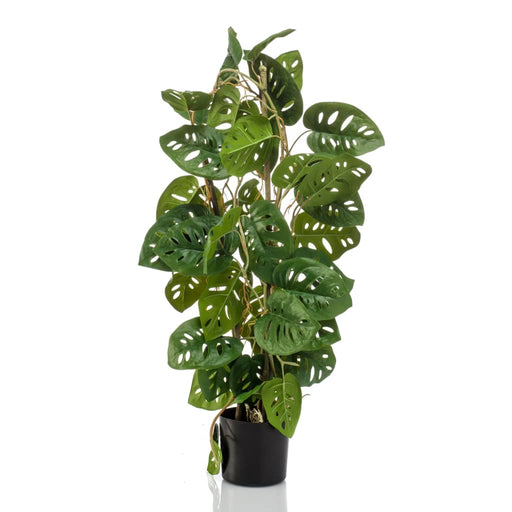 Emerald Kunstig Monstera Monkey 75 Cm I Pot
