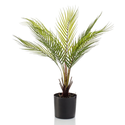 Smaragd Kunstig Chamaedorea Palme 50 Cm I Pot