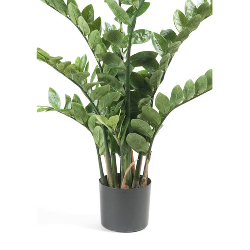 Emerald Zamioculcas Kunstig Grøn 110 Cm 11.662C