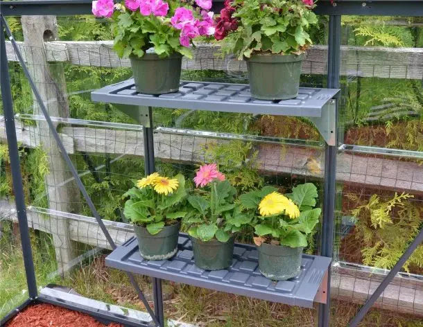 Twin Greenhouse Hylde