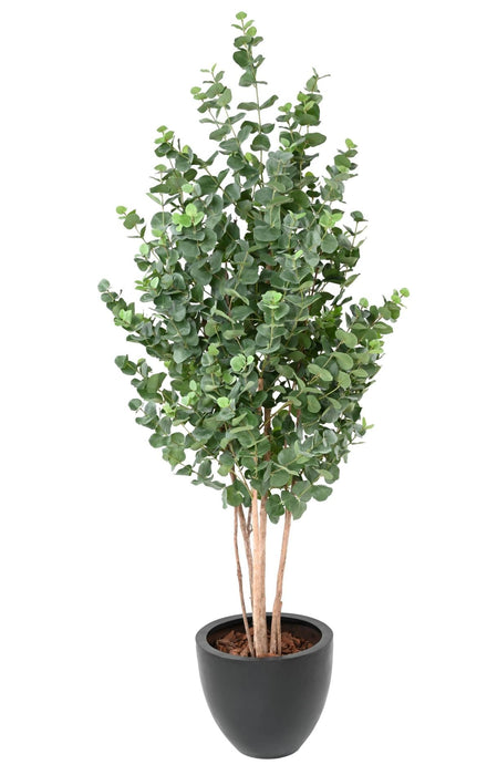 Kunstig Eukalyptus 190 Cm Indendørs Plante