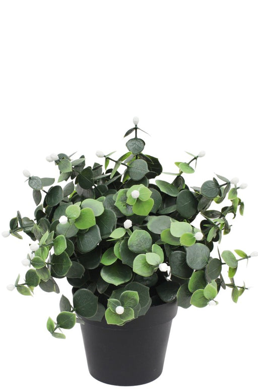 Hvid Eucalyptus - Kunstig Grøn Plante