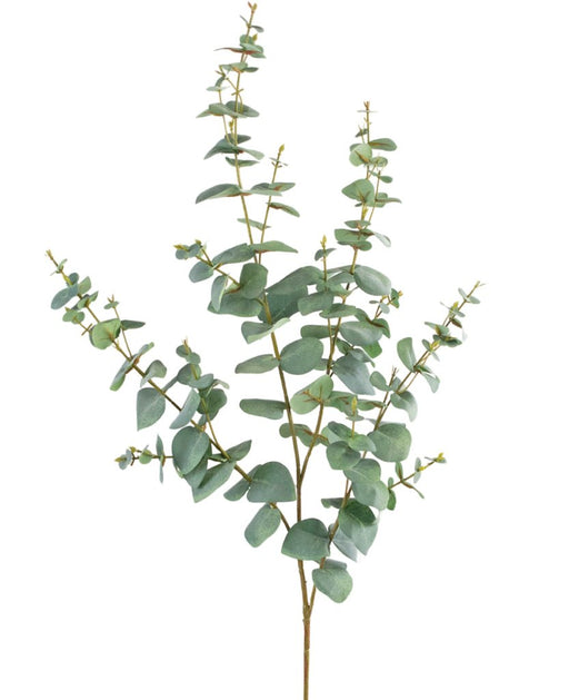 Eucalyptus - Kunstigt Løv