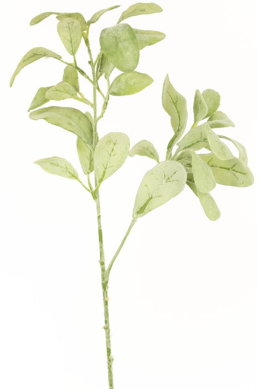 Rund Eucalyptus - Kunstigt Løv