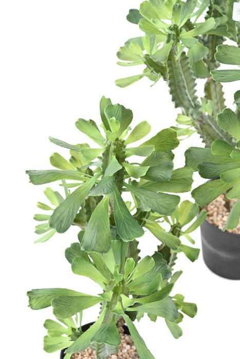 Artificial Milky Spurge H.110Cm Til Indendørs