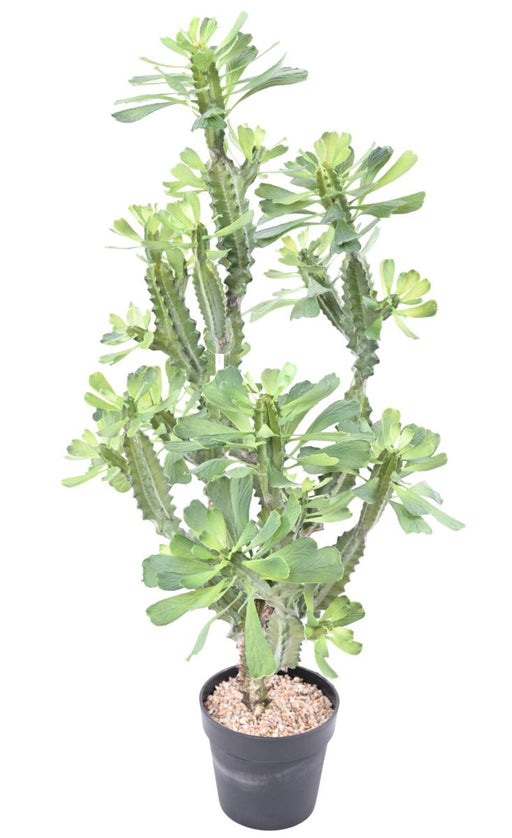 Artificial Milky Spurge H.110Cm Til Indendørs