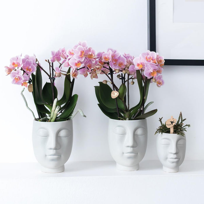 Ansigt-Til-Ansigt Pot - Hvid Keramik