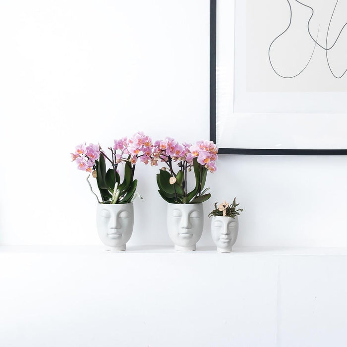 Ansigt-Til-Ansigt Pot - Hvid Keramik