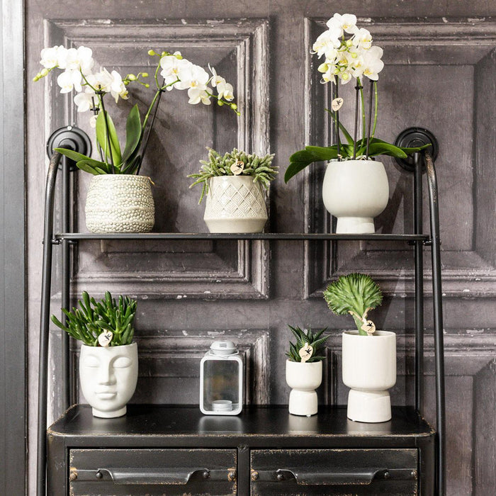 Ansigt Til Ansigt - Grå Keramisk Gryde