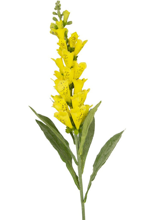 Falsk Gul Foxglove-Blomst