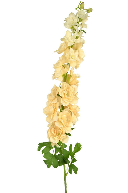 Falsk Delphinium Creme