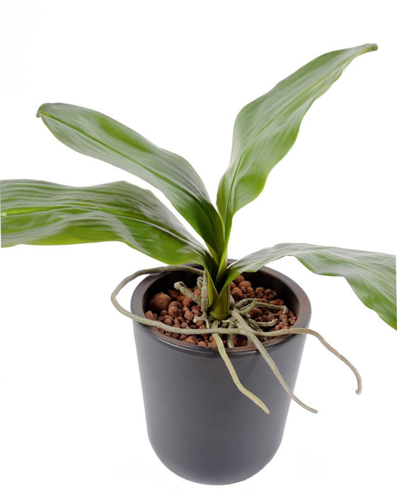 Kunstig Bladorkidé Phalaenopsis 24Cm Grøn